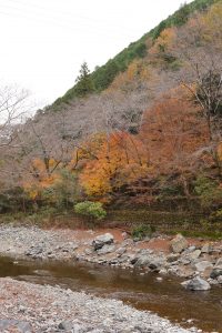 秋の川3